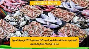 تطور جديد.. أسعار الأسماك اليوم السبت 30 أغسطس 2025 في سوق العبور مفاجأة في أسعار البلطي والجمبري 1